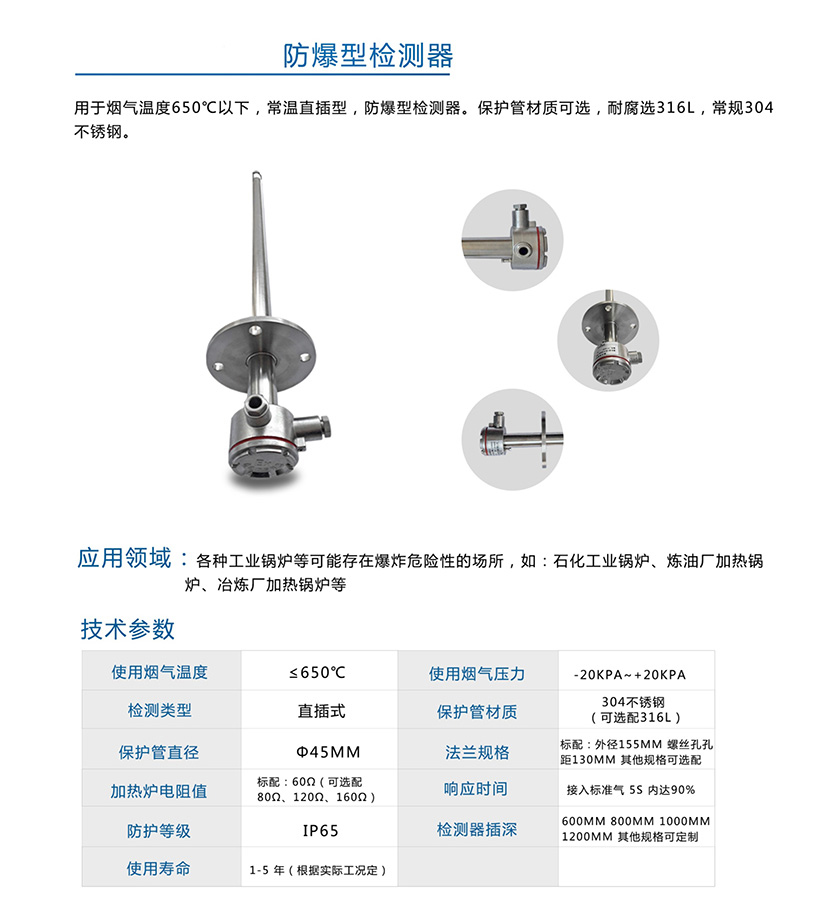 防爆型检测器(图1)